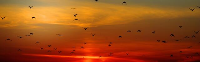 Why Growing Companies Need Financial Leadership Before They Think They Do