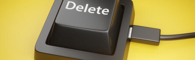 Twin brothers wipe 96 gov't databases minutes after being fired