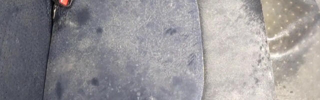 Mold Can Be A Quiet Danger In Your Car – Here's How To Keep It Away