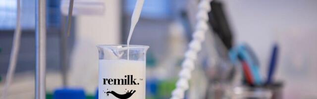 Can startups succeed in cutting out animals from the food chain?