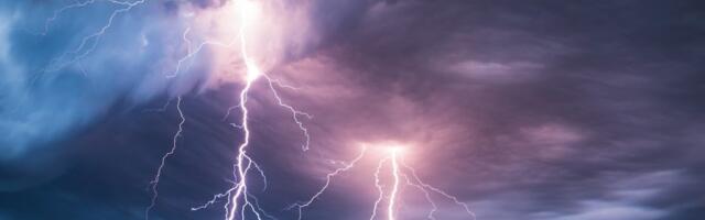 Lightning Kills Way More Trees Than Anyone Thought, New Research Suggests