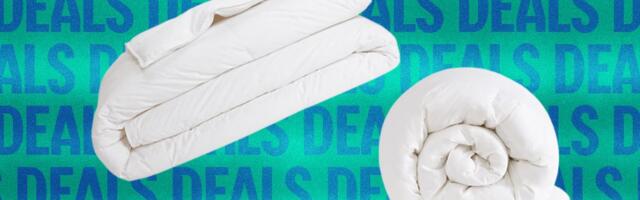 The Best Down Comforter Deals for Winter Nights (2025)