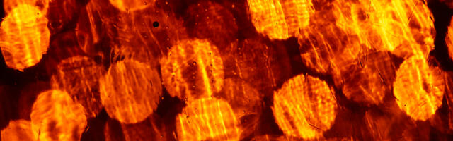 Зазеркалье сознания