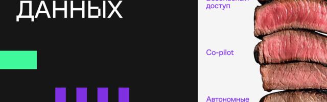 Описание данных: от Rare до Well-Done с помощью ИИ