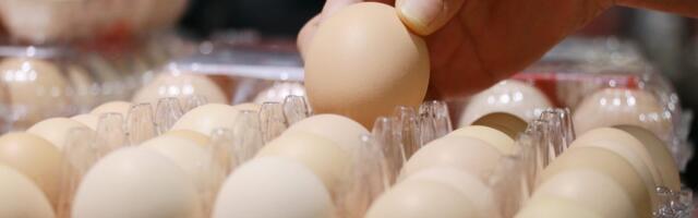 We were gaslit by Big Egg about egg prices (allegedly)