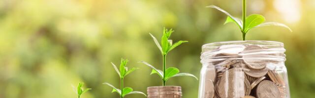 Save €850.72 Per Year on Your Electricity Bill With 5 Everyday Swaps