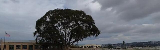 100-unit Marina Point development plans critiqued