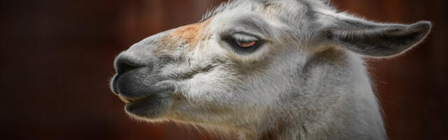 Meta’s surprise Llama 4 drop exposes the gap between AI ambition and reality