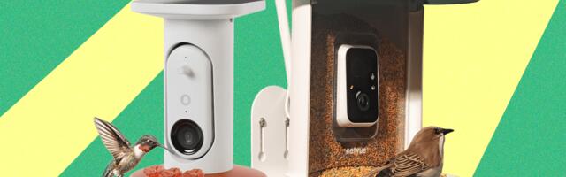 Best Bird Feeders With Cameras, Tested and Reviewed (2025)