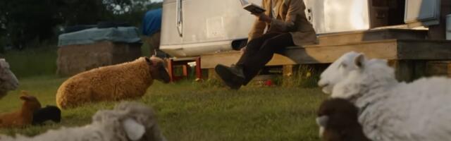 The Sheep Detectives trailer sees a flock of sheep avenge Hugh Jackmans murder. Yes, really.