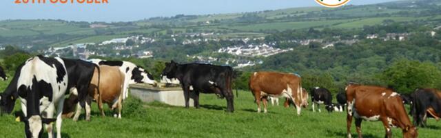 Farm of the Future Ideation Day at Farm Zero C to Address Challenges in the Agricultural Sector