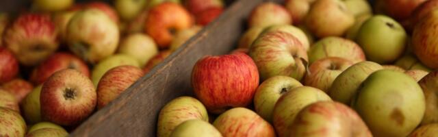San Jose: Willow Glen’s Cider Junction closing after 7 years in business
