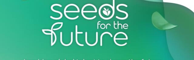 Huawei Ireland launches 2025 Seeds for the Future student programmes
