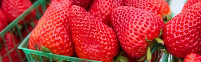 Here’s why California has a national strawberry day