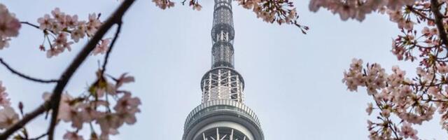 VC Fund Structure Explained