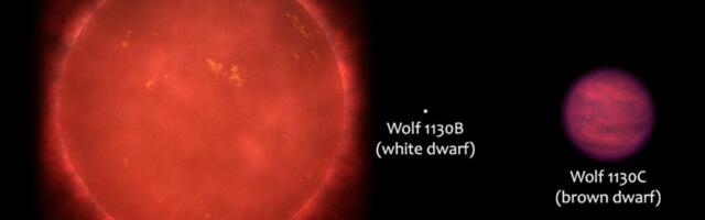 ‘Failed Star’ Mimics a Key Sign of Life, Complicating Our Search for Aliens