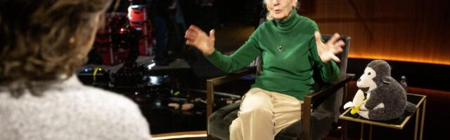 Netflix's New Docuseries Releases First Episode Following Death of Jane Goodall