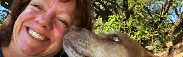 I was paying $3,000 to live in a cramped Seattle apartment. When I got laid off, I moved out and now live in other people's homes for free as a traveling pet sitter.
