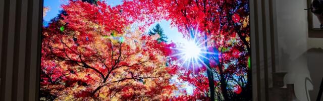 Why I wish I hadn’t bought my Samsung OLED TV