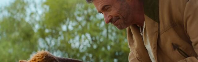 The Sheep Detectives review: Deeply silly sleuth story is much smarter than it needed to be