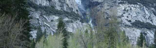 National Park Summer Bookings Down Amid DOGE-Fueled Turmoil