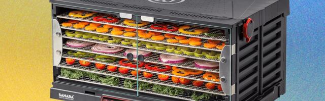 5 Best Food Dehydrators, Tested and Reviewed (2025)