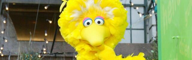 Trump Sues to Fire Big Bird’s Boss