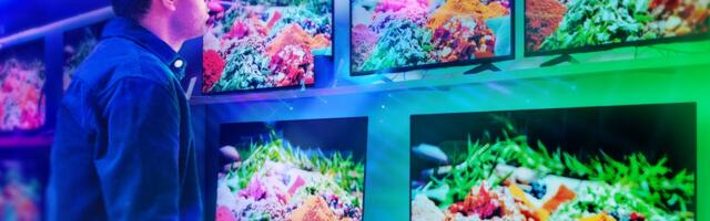 TV Shoppers Want Big Screens and the Best Pictures, but Their Budget May Not Cut It, CNET Finds