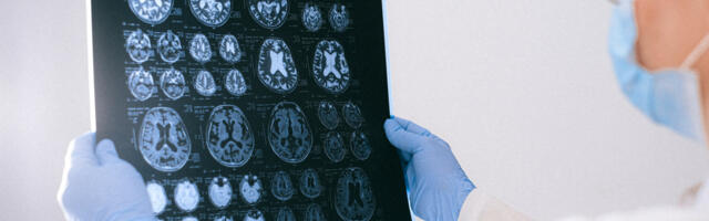 Brain Science: A New Theory of Embodied Consciousness?