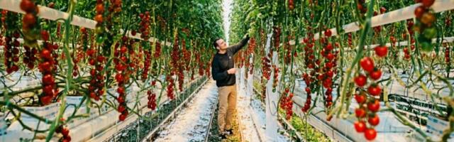 Amsterdam’s agtech startup Source.ag expands to North America: Know more