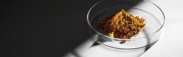 How to Feed Astronauts Bound for Mars? Try Protein Made Out of Thin Air