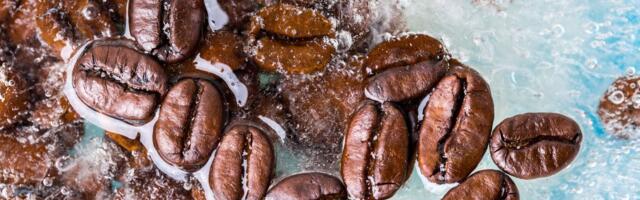Should You Freeze Coffee Beans? Only if You Do It the Right Way