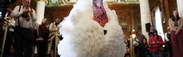 When did Thanksgiving turkey become such a big deal?