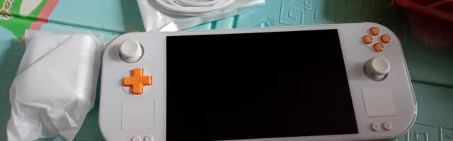 Dumpster-fire RAM crisis claims another handheld console casualty