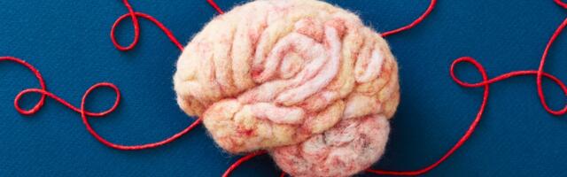 You can’t really “train” your brain. Here’s what you can do instead.