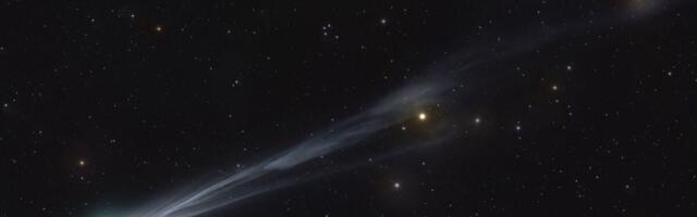 Two Newly Discovered Comets Will Streak Across the Skies This Month. Here’s How to See Them