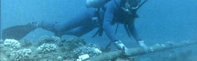Europe races Meta and Japan to launch first Petabit-class submarine cable before 2030 as AI demand explodes