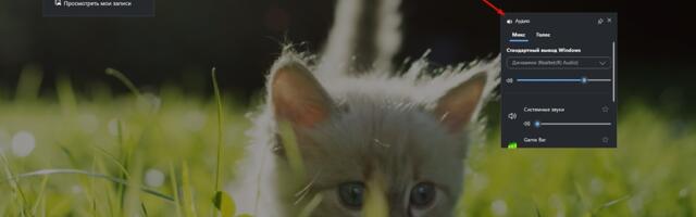 Как записать видео с экрана: простые способы для новичков