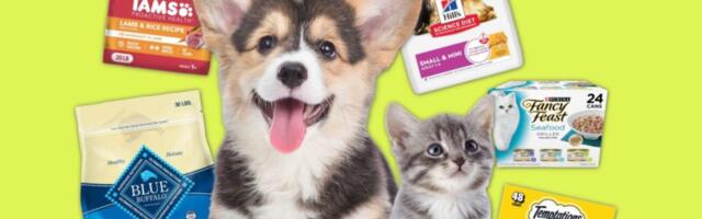 Amazon Pet Days returns in May: Everything you need to know about Prime Day for pets
