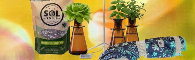 15 Best Gifts for Plant Lovers and Gardeners (2026)