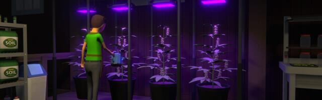 What You Need to Know About Schedule I, Steam's Top-Selling Game About Selling Drugs
