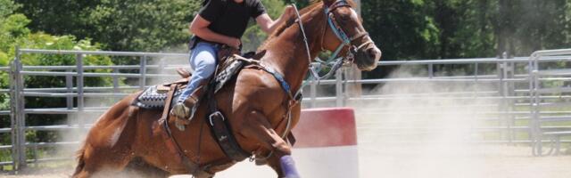 A Nasty Brain Illness Is Spreading Quickly Among Horses in the U.S. Here’s What You Need to Know