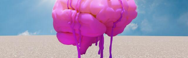 Silicon Valley has forgotten what normal people want