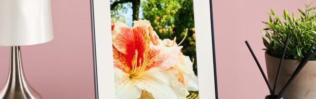 The best digital photo frame 2025: we've tested the top picks from Aura, Netgear, Amazon and more