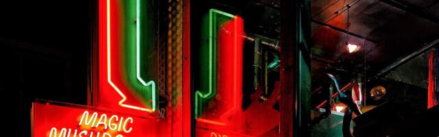 Europe’s microdosing companies