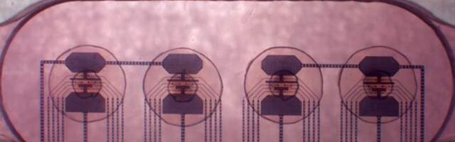 Human brain organoid bioprocessors now available to rent for $500 per month