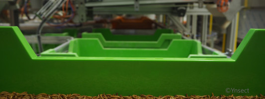 Ÿnsect, the makers of the world’s most expensive bug farm, raises another $224 million