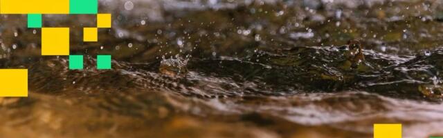 Bitcoin, AI stock slide sees over $500 million in bullish bets wiped out