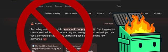 Bye Bye, AI: How to block Google's annoying AI overviews and just get search results