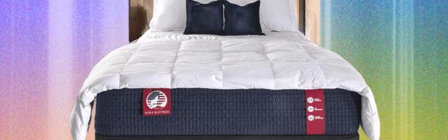 Wolf Memory Foam Hybrid Premium Firm Mattress Review: A New Alpha